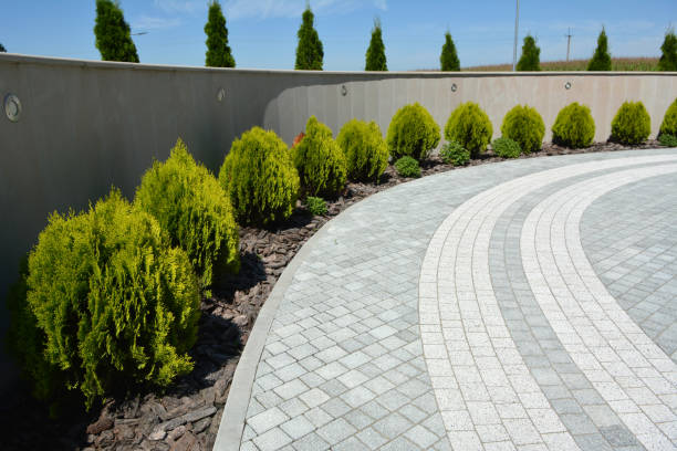 Best Driveway Paving Contractor  in Stepney, CT