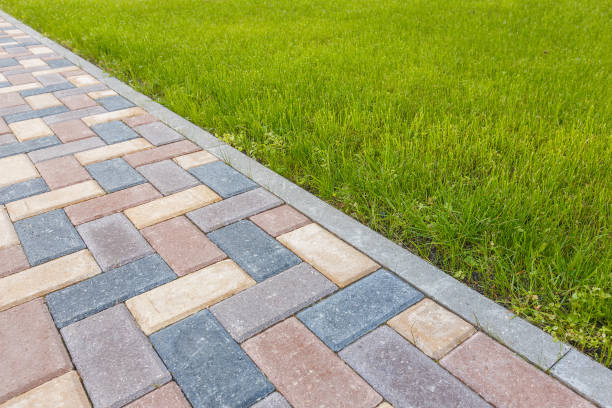 Best Local Driveway Pavers  in Stepney, CT